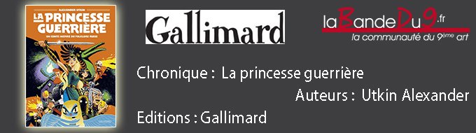 Bandeau de l'article La princesse Guerriere