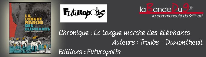 La longue marche des éléphants