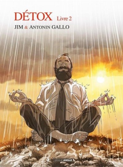Couverture de DETOX Tome 2
