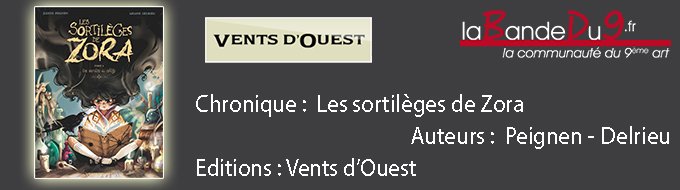 Les sortilèges de Zora Tome1. Une socière au collège