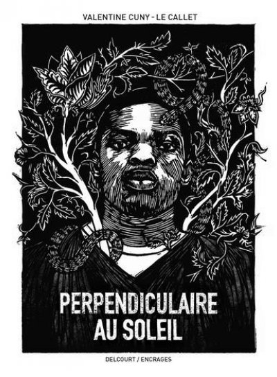 Couverture de Perpendiculaire au soleil