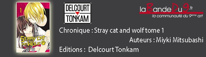 Stray cat and wolf T01