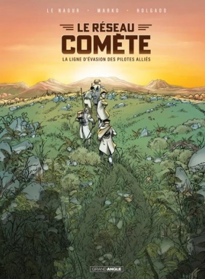 Couverture de Le réseau comète