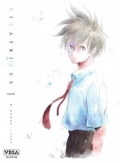 Couverture de Cicatrices