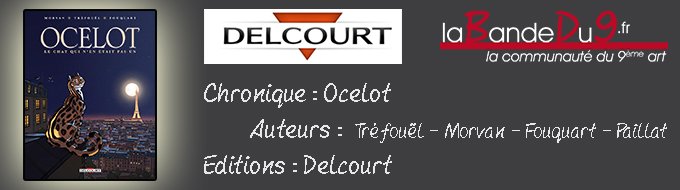 Chronique : Ocelot, le chat qui n'en était pas un
