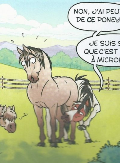 Couverture de A cheval ! T1 : Hip hippique, hourra !