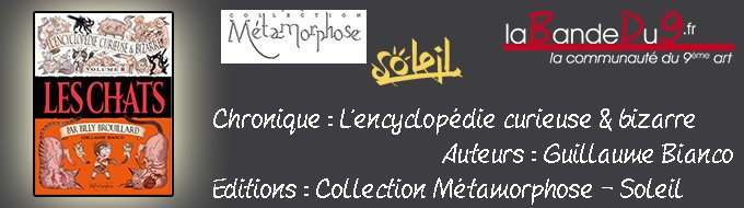 L’encyclopédie curieuse et bizarre : volume II – Les chats
