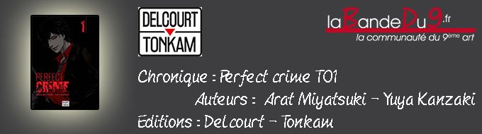 Perfect crime