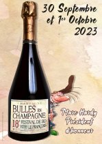 Affiche de l'évènement Festival BD Bulles en Champagne