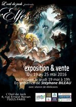 Affiche de l'évènement Exposition Elfes T.13 de Stéphane Bileau