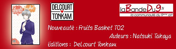 Bandeau de l'nouveaute Fruits basket - perfect tome 2